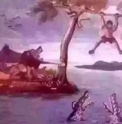 最強抽象圖形邏輯題大全及答案:如果樹上的人是你你會怎么做